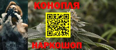 крисы Новокубанск