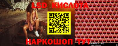 крисы Новокубанск