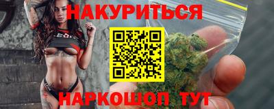 крисы Новокубанск